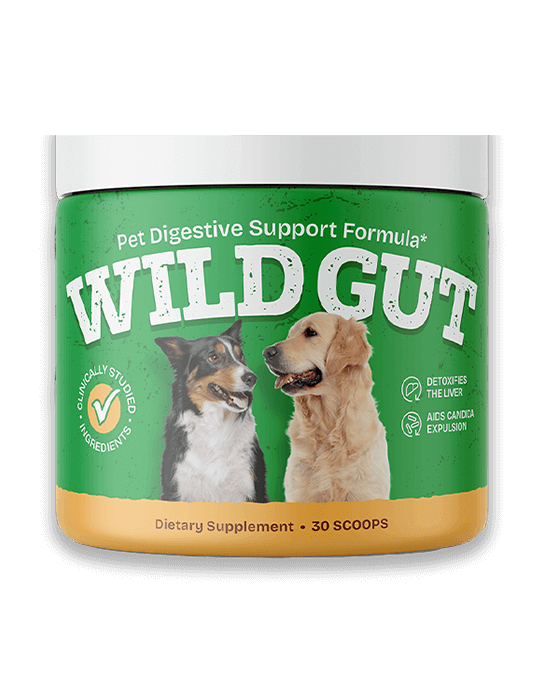 WildGut – Natural Digestive Support for Dogs
